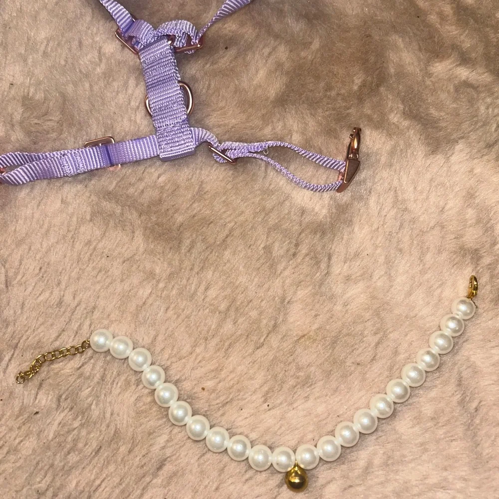 Leash harness collar combo